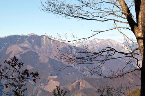 霜柱が立った大塚山の山頂です