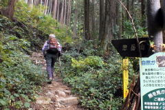 10分ほど登ると御岳駅からの登山道に合流します