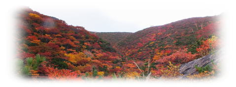 安達太良山勢至平の紅葉